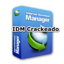 IDM Crackeado com Internet Download Manager 6.41 Build 22 Grátis PT-BR 2024