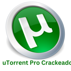 uTorrent Pro Crackeado 2022 3.6.0 Baixar gratis PT-BR 2024 Build 46846